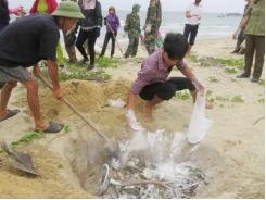 Thủ tướng yêu cầu rà soát các cơ sở xả thải ra biển sau vụ cá chết