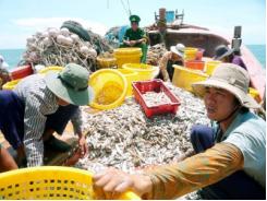 Lệnh cấm đánh bắt cá của Trung Quốc là vô giá trị