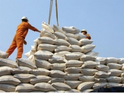 VN earns US$1.1bn from rice exports in Jan-Apr