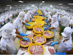 Doors still open for Vietnam’s catfish to American market