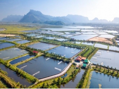 Bến Tre eyes sustainable aquaculture