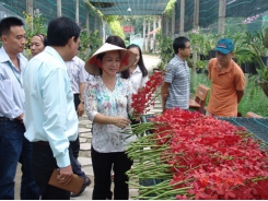 Rural districts in HCM City to develop agri-tourism