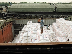 Bright outlook for Vietnam’s 2020 rice exports