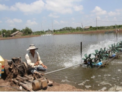 Dùng điện an toàn trong nuôi tôm