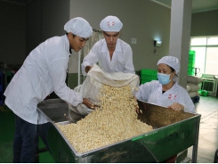 Cashew exports are expected to prosper in the second half of the year