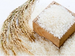 Agriculture ministry proposes maintaining sticky rice exports