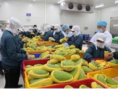 Local fruit, vegetable businesses seek to meet global demands