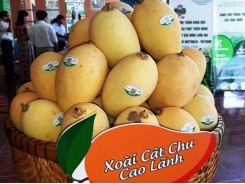 Global market remains potential for Vietnam's mango industry