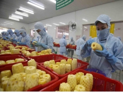 Vietnam targets 10 billion USD from fruit, vegetable exports by 2030