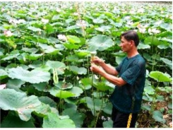 Hai Mô Hình Làm Giàu Ở Kiên Giang