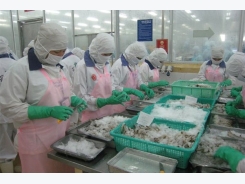 PM approves hi-tech shrimp farming park