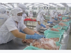 Tra fish firms form fund to cope with PR crisis