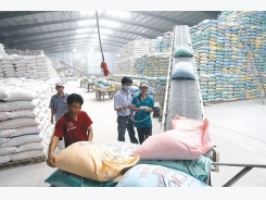 Bottlenecks in rice production chain affecting market share