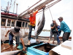 Nhiều mặt hàng thủy, hải sản ở tỉnh Bạc Liêu tăng giá mạnh