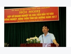 Hai Duong province calls for investment in agriculture