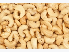 Cashew nut segment lowers expectations for export growth