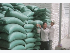 Vietnam rice export back on track