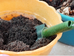 Potting Soil Mix Explained: Ingredients and Labels