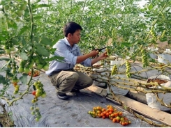 Quang Tri draws investment in hi-tech agriculture