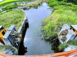 Mekong Delta prepares for summer-autumn rice crop