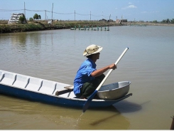 Breeders in Mekong Delta suffer heavy losses from massive shrimp die-offs