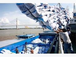 Inspection team set up to check rice volume stuck at ports