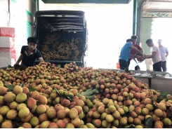 Vietnam seeks new markets for farm produce