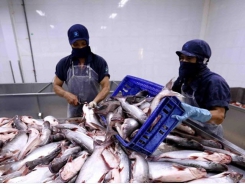 Aquatic exports to China shows sign of recovery