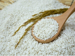 Long An Province asks Government to lift restrictions on sticky rice exports