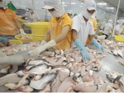 Forcast Q2/2021, seafood exports will increase by 10%