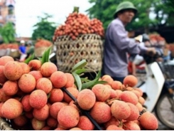 Hai Duong lychee to be sold on e-commerce sites