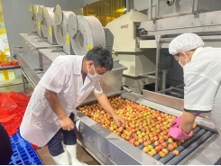 20,000 tonnes of lychee exported to Japan