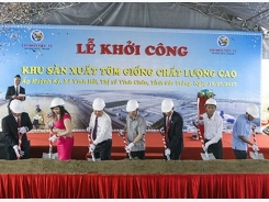 Work starts on high-quality breeding shrimp farm in Soc Trang