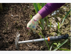 Organic Weed Control