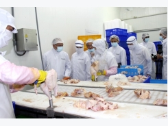 Japan officially agrees to import chicken meat from Vietnam