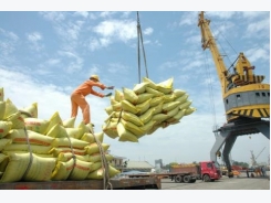 Philippines awards rice supply contract to Vietnam