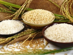 Sharp rise in rice exports