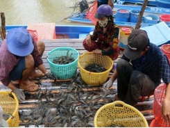 Aquatic product exports decrease in five months