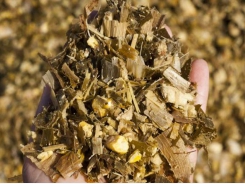 Fermentation analysis pinpoints silage management