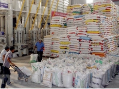 Vietnam’s five-month rice exports drop