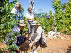 Bayer launches Velum solution helping farmers battle nematodes and maximise crop yields