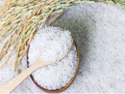 EU allocates tariff quota on Vietnamese rice under EVFTA