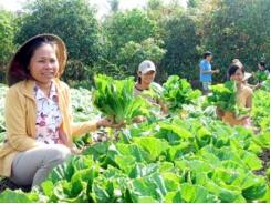 Làm Giàu Nhờ Trồng Màu