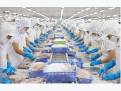 Seafood exporters still face hurdles in remaining months