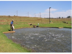 South Africa undertakes strategic environmental assessment for aquaculture development