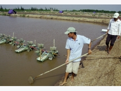 Tăng cường quản lý dịch bệnh