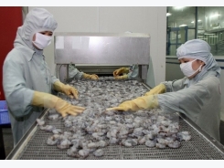 Challenges still ahead for Vietnamese seafood exporters