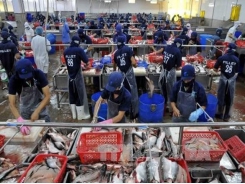 Seafood exports fetch 4.63 billion USD in seven months