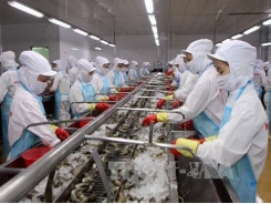 Cà Mau to expand seafood exports