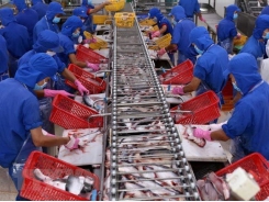 Vietnam eyes stronger export of aquatic products to Brazil